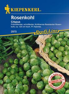 Kiepenkerl Rosenkohl Crispus
, 
Brassica oleracea, Inhalt: ca. 10 Pflanzen