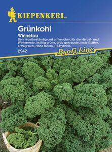 Kiepenkerl Grünkohl Winnetou
, 
Brassica oleracea var. sabellica, Inhalt: ca. 30 Pflanzen