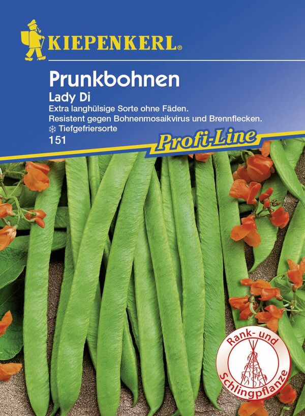 Bild 1 von Kiepenkerl Profi-Line Prunkbohnen Lady Di
, 
Phaseolus coccineus, Inhalt: 8-10 Stangen