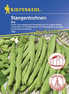 Kiepenkerl Stangenbohne Eva
, 
Phaseolus vulgaris var. vulgaris, Inhalt: 6-8 Stangen