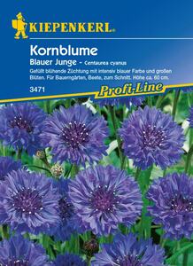 Kiepenkerl Kornblume Blauer Junge
, 
Centaurea cyanus, Inhalt: ca. 60 Pflanzen