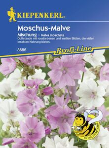 Kiepenkerl Moschus-Malve Moschus
, 
Malva moschata, Inhalt: ca. 100 Pflanzen