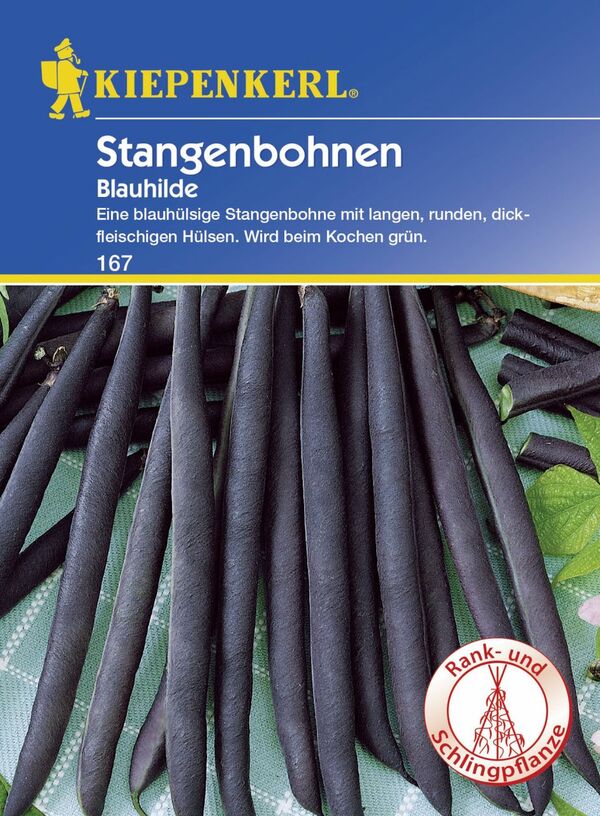 Bild 1 von Kiepenkerl Stangenbohne Blauhilde
, 
Phaseolus vulgaris var. vulgaris, Inhalt: 8-10 Stangen
