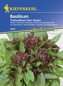 Kiepenkerl Basilikum Thaibasilikum Siam Queen
, 
Ocimum basilicum, Inhalt: ca. 150 Pflanzen