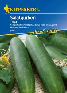 Kiepenkerl Salatgurke Tanja
, 
Cucumis sativus, Inhalt: ca. 40 Pflanzen