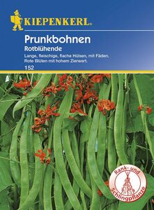 Kiepenkerl Prunkbohne Rotblühende
, 
Phaseolus coccineus, Inhalt: 6-8 lfd. Meter