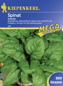 Kiepenkerl Spinat Matador
, 
Spinacia oleracea, Inhalt: ca. 45 lfd. Meter