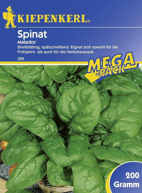Bild 1 von Kiepenkerl Spinat Matador
, 
Spinacia oleracea, Inhalt: ca. 45 lfd. Meter
