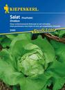Bild 1 von Kiepenkerl Kopfsalat Ovation
, 
Lactuca sativa var. capitata, Inhalt: ca. 90 Pflanzen