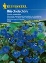 Bild 1 von Kiepenkerl Büschelschön
, 
Phacelia campanularia, Inhalt: ca. 50 Pflanzen