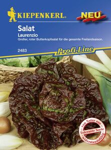 Kiepenkerl Profi-Line Salat Laurenzio
, 
Lactuca sativa var. capitata, Inhalt: ca. 70 Pflanzen