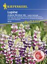 Bild 1 von Kiepenkerl Profi-Line Lupine Avalune Bicolour Mix
, 
Lupinus hartwegii, Inhalt: ca. 35 Pflanzen