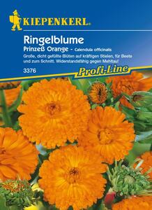 Kiepenkerl Ringelblume Prinzeß Orange
, 
Calendula officinalis, Inhalt: ca. 80 Pflanzen