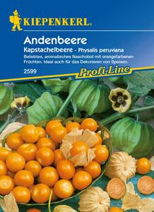 Kiepenkerl Andenbeere Kapstachelbeere
, 
Physalis peruviana, Inhalt: ca. 30 Pflanzen