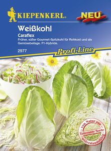Kiepenkerl Spitzkohl Caraflex
, 
Brassica oleracea var. capitata f. alba, Inhalt: ca. 20 Pflanzen