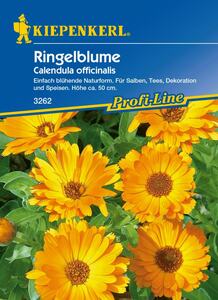 Kiepenkerl Ringelblume
, 
Calendula officinalis, Inhalt: ca. 100 Pflanzen