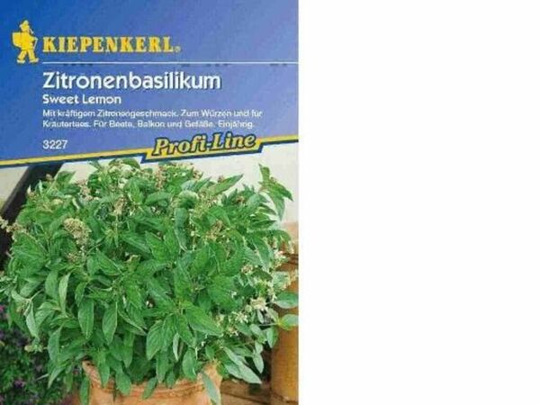 Bild 1 von Kiepenkerl Basilikum Sweet Lemon
, 
Ocimum basilicum, Inhalt: ca. 600 Pflanzen