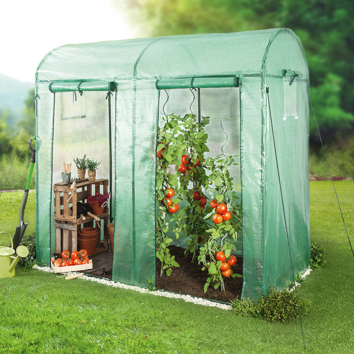 Bild 2 von Powertec Garden Tomaten Gewächshaus mit 2 Toren und 4 Fenstern