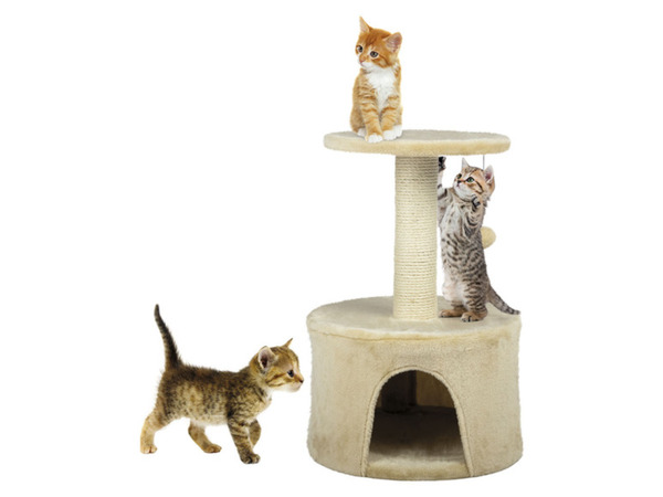 Bild 4 von Zoofari Kratzturm, inkl. Plüschball zum Spielen