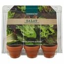 Bild 3 von GARDENLINE®  Mini-Gewächshaus