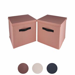 EASY HOME®  Aufbewahrungsbox mit Deckel, 2er-Packung