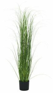 Kunstpflanze MARKUSFLUE H150 Gras