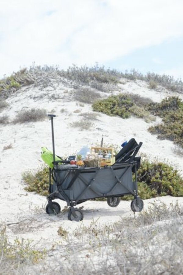 Bild 3 von Bollerwagen RAVN Stahl/Polyester grau