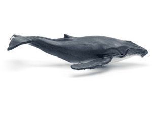 BOXINE Tonies Figur: WAS IST - Wale und Delfine/Geheimnisse der Tiefsee Hörfigur