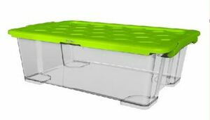 Rotho Box mit Deckel EVO SAFE
, 
30 l, transparent/ grün