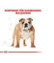 Bild 2 von ROYAL CANIN® Trockenfutter für Hunde Bulldog