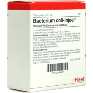 Bacterium COLI Injeel Ampullen 10  St