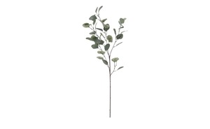 Eukalyptuszweig grün Kunststoff, Metall Maße (cm): H: 73 Dekoration