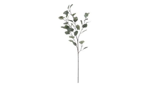Bild 1 von Eukalyptuszweig grün Kunststoff, Metall Maße (cm): H: 73 Dekoration