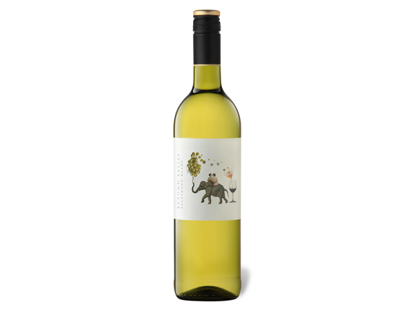 Bild 1 von Beyond Belief Sauvignon Blanc Western Cape trocken, Weißwein 2022