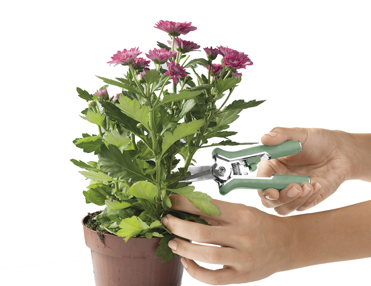 Bild 3 von IDEENWELT 2er Set Mini-Feinschnittscheren