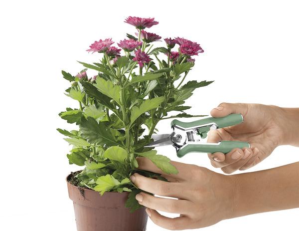 Bild 3 von IDEENWELT 2er Set Mini-Feinschnittscheren