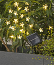 Bild 3 von IDEENWELT Solar-Lichterkette Blumen