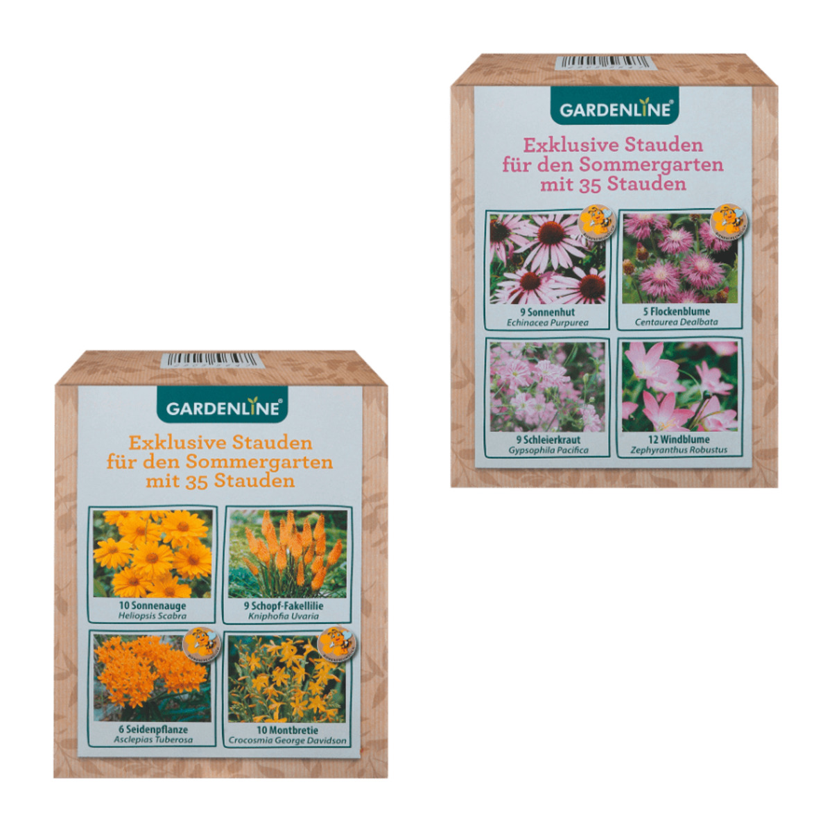 Bild 1 von GARDENLINE Stauden für den Sommergarten