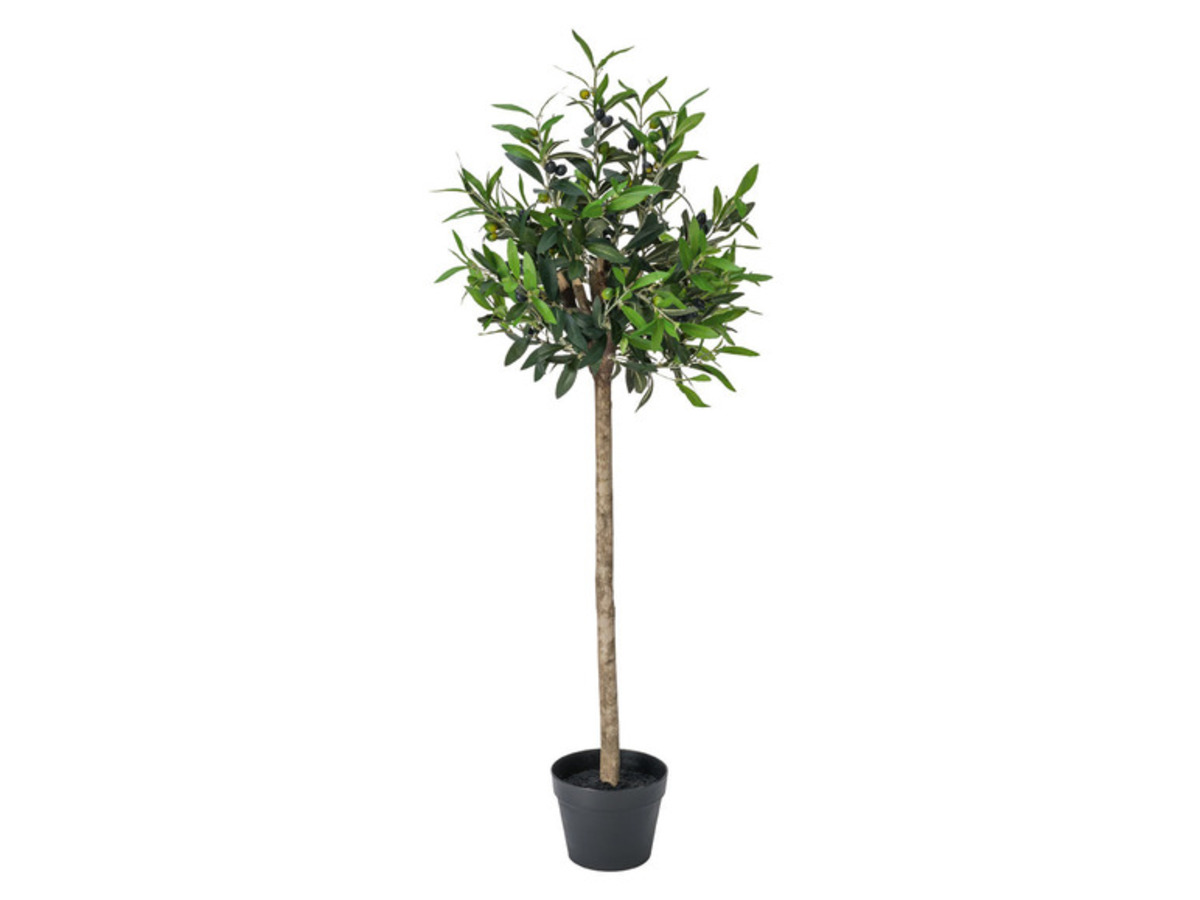 Bild 3 von LIVARNO home Kunstpflanze, Olivenbaum / Monstera