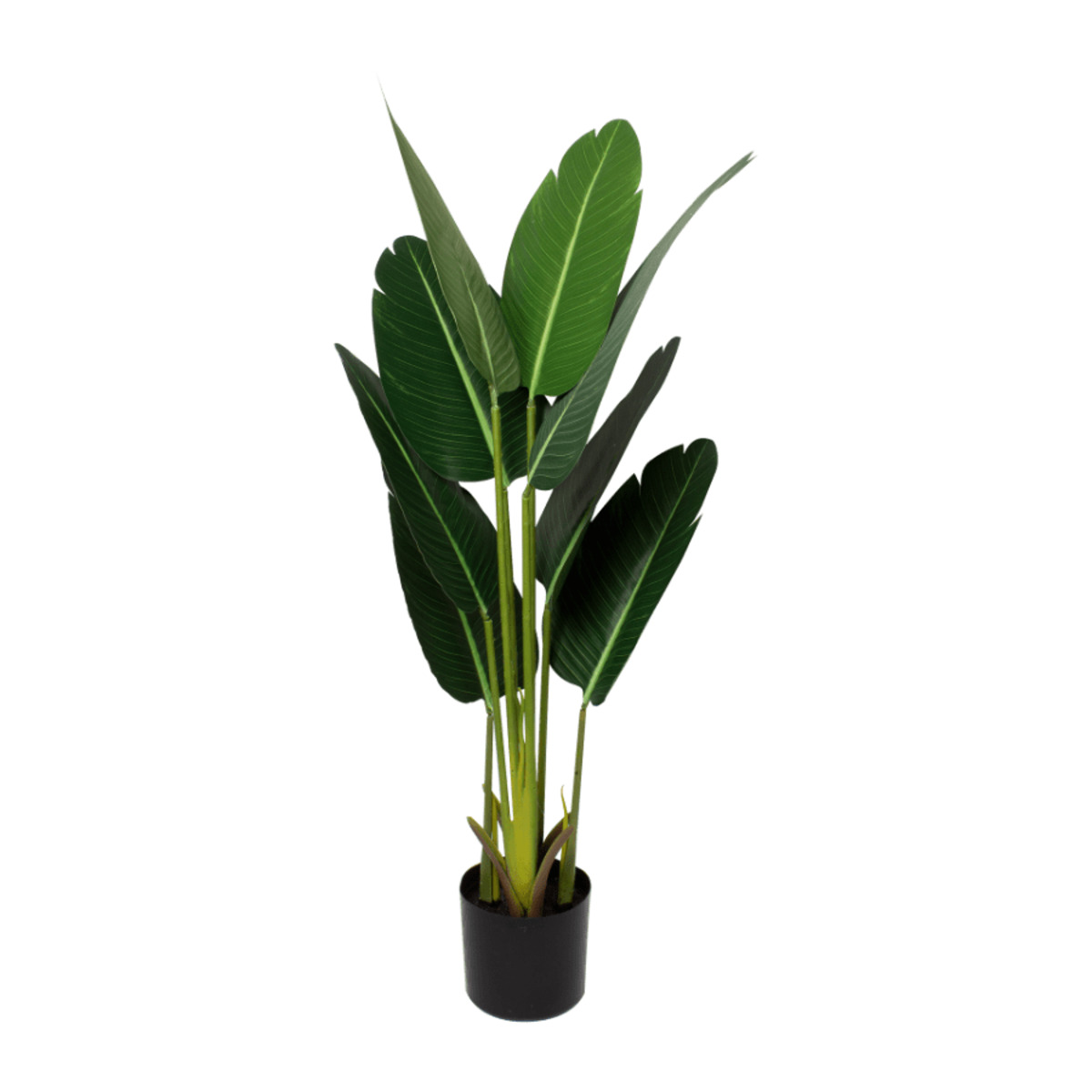 Bild 2 von LIVING ART Künstliche Pflanze