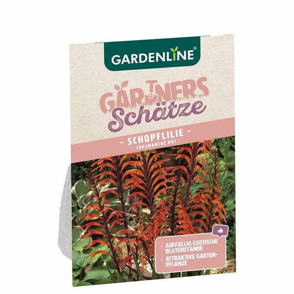 Bild 1 von GARDENLINE®  Blumenzwiebeln