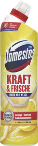 Domestos WC Gel Kraft & Frische Citrus Fresh 750ML