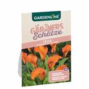 Bild 4 von GARDENLINE®  Blumenzwiebeln