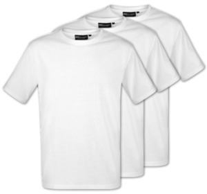 NEW HAMPSHIRE Herren-T-Shirts*