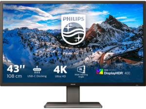 PHILIPS 439P1/00 43 Zoll UHD 4K Monitor (4 ms Reaktionszeit, 60 Hz)