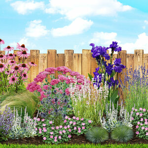 Mein schöner Garten Staudenbeet Klimafestes Blütenmeer, 17 Pflanzen