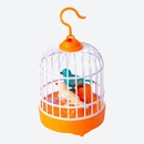 Bild 1 von Zwitschervögel im Käfig