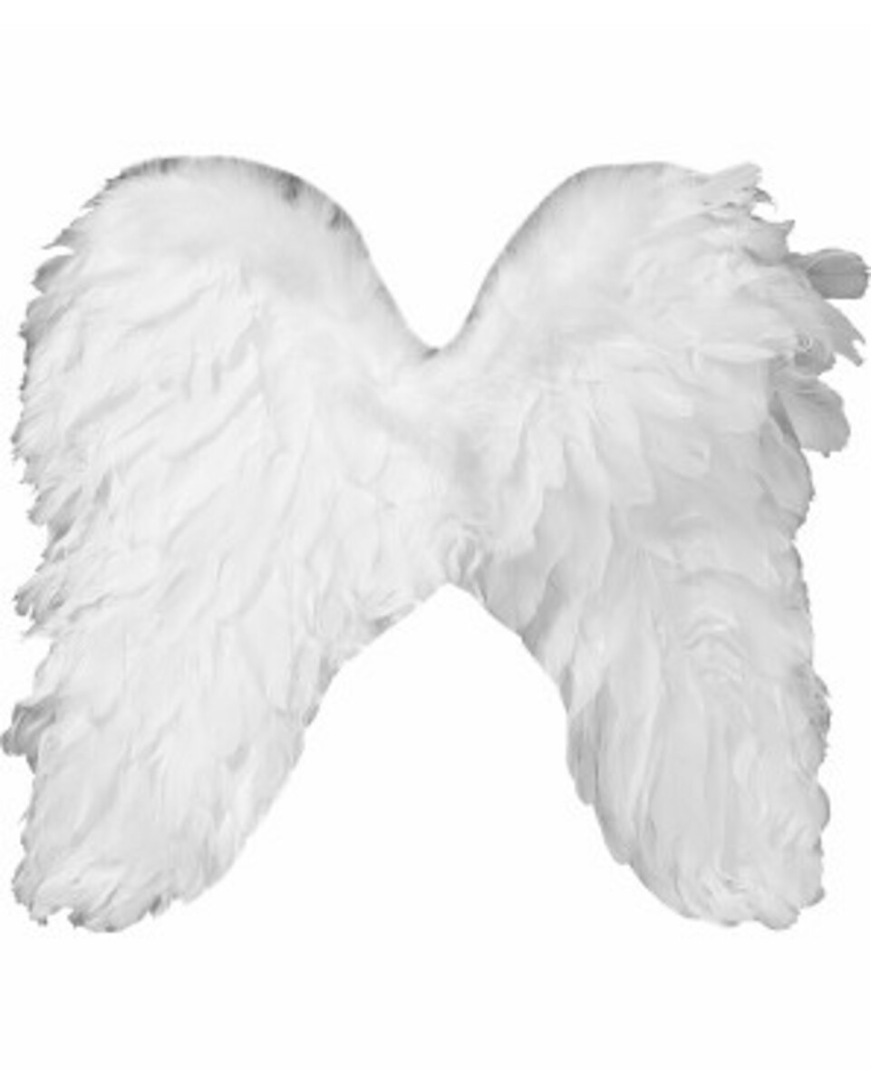 Bild 1 von Engelsflügel