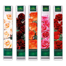 Bild 1 von Finest Garden Premium Duftrosen XXL