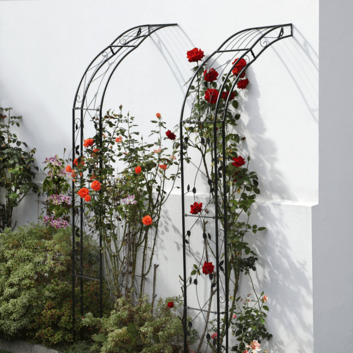 Bild 4 von BELAVI Rosenbogen